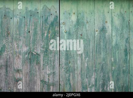 Fondo in legno di legno grigio ricoperto di vernice verde. Legno asse vecchi cancelli. Foto Stock