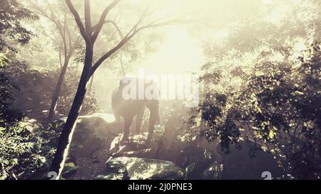 Elefante nella foresta tropicale con nebbia Foto Stock
