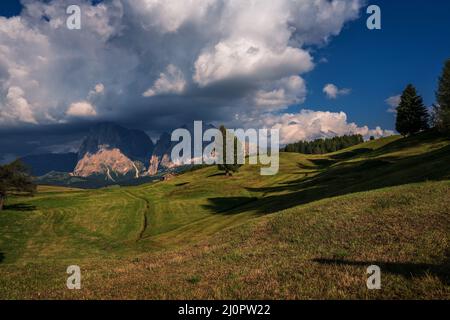 Vista sull'Alpe di Siusi. ( Alpe di Siusi ) Foto Stock