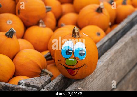 Faccia di zucca su una gabbia piena di zucche Foto Stock