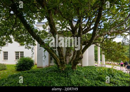 08-06-2021. Devon, Regno Unito. Agatha Christie's Greenway House. Ex casa vacanze del libro scrittore Agatha Christie. Greenway House and Garden. Foto Stock