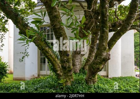 08-06-2021. Devon, Regno Unito. Agatha Christie's Greenway House. Ex casa vacanze del libro scrittore Agatha Christie. Greenway House and Garden. Foto Stock