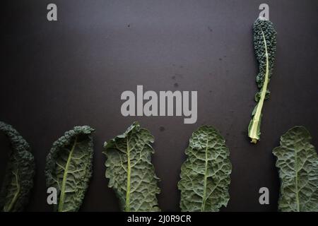 Kale scuro su sfondo nero Foto Stock