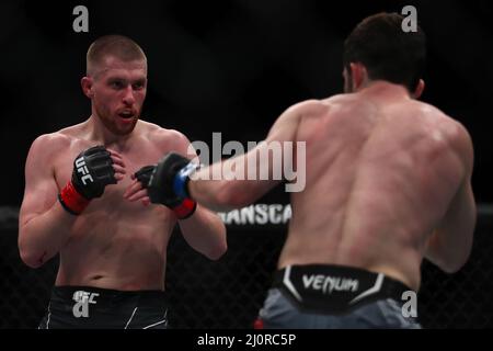 LONDRA, REGNO UNITO. MAR 19th Jack Shore in azione contro Timur Valiev durante UFC Fight Night 204 all'Arena O2 di Greenwich sabato 19th marzo 2022. (Credit: Kieran Riley | MI News) Credit: MI News & Sport /Alamy Live News Foto Stock