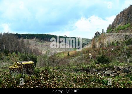 Vista sulla siccità nei monti Harz Foto Stock