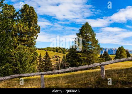 Incantevole altopiano delle Dolomiti Foto Stock