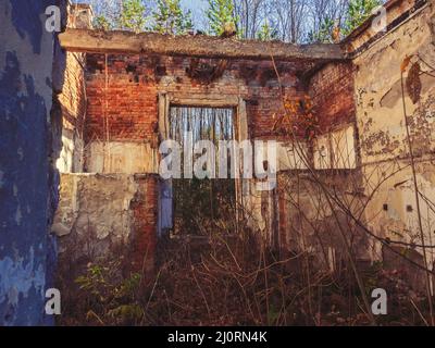 Rovine di vecchio marcio abbandonato e edificio in eccesso nella foresta in un giorno d'autunno Foto Stock