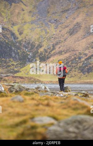 Vai all'aperto: Vista posteriore di escursionista isolato a piedi con zaino in Snowdonia National Park, Galles del Nord, Regno Unito. Foto Stock