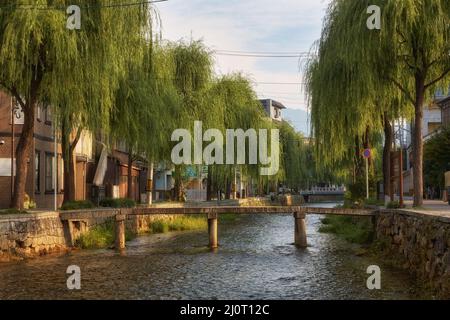 La vista del ponte di pietra sul canale di Shirakawa fiancheggiato da alberi di salice. Kyoto, Giappone Foto Stock