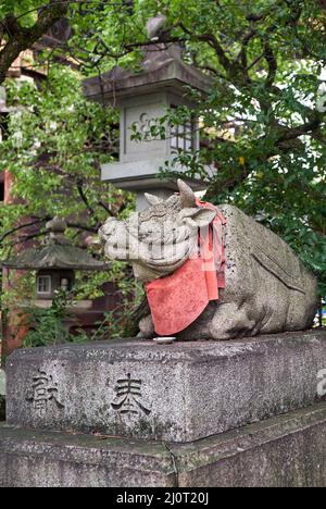 La statua del bue si trova in basso vicino alla lanterna di pietra al santuario di Kitano Tenmangu. Kyoto. Giappone Foto Stock