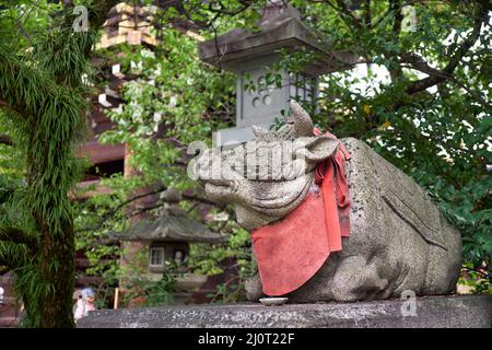 La statua del bue si trova in basso vicino alla lanterna di pietra al santuario di Kitano Tenmangu. Kyoto. Giappone Foto Stock