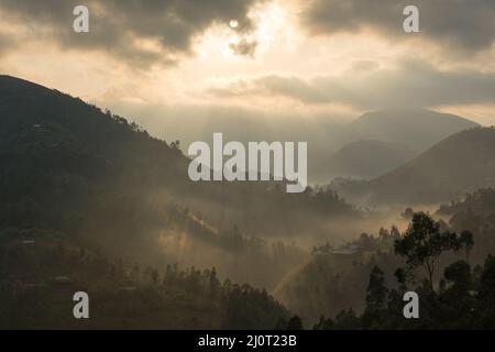 Mist di prima mattina, East African Rift Valley. Foto Stock