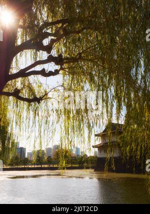 Piangendo salice sopra il fossato con il Sakuradayagura sullo sfondo. Palazzo Imperiale di Tokyo. Giappone Foto Stock