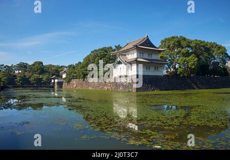 Il fossato Kikyo-bori è cresciuto con piante acquatiche intorno al Palazzo Imperiale di Tokyo. Tokyo. Giappone Foto Stock