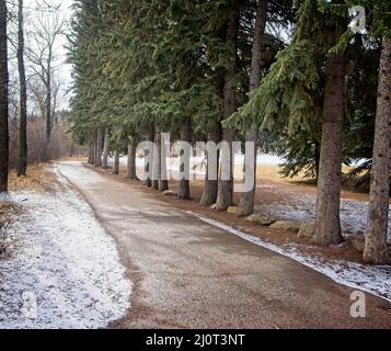 Edworthy Park Calgary Alberta Foto Stock
