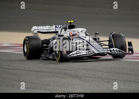 03/20/2022, Bahrain International Circuit, Sakhir, Formula 1 Gulf Air Bahrain Grand Prix 2022, nella foto Yuki Tsunoda (JPN), Scuderia AlphaTauri Foto Stock