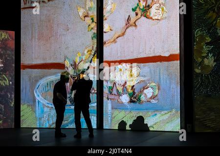 People at Van Gogh Alive Art Exhibition and Experience, Edinburgh, Scotland, UK Foto Stock