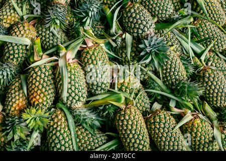 Ananas sfondo, un sacco di ananas maturo giallo al mercato asia frutta cibo pineaple. Sri Lanka. Foto Stock