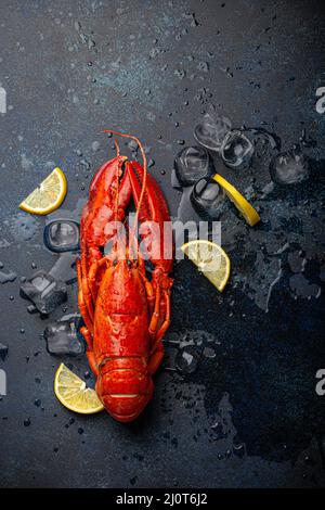 Aragosta con limone e cubetti di ghiaccio vista dall'alto su sfondo di pietra blu Foto Stock