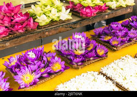 Fiori in offerta. La gente porta fiori al Tempio. Kandy, Sri Lanka. Foto Stock