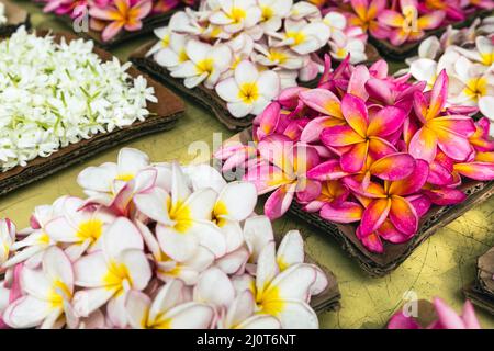 Fiori in offerta. La gente porta fiori al Tempio. Kandy, Sri Lanka. Foto Stock