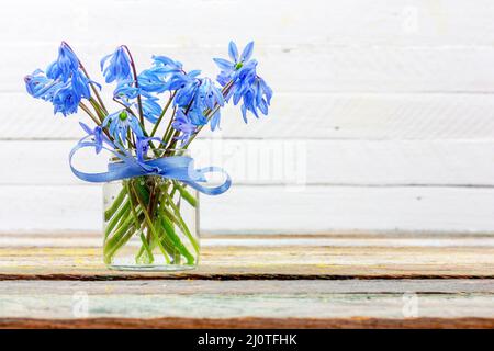 Bouquet di fiori di bluebell in vaso sul tavolo su sfondo bianco con spazio copia primo piano Foto Stock