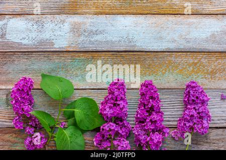 Ciuffi di fiori lilla con foglie verdi su sfondo retrò in legno con spazio copia Foto Stock