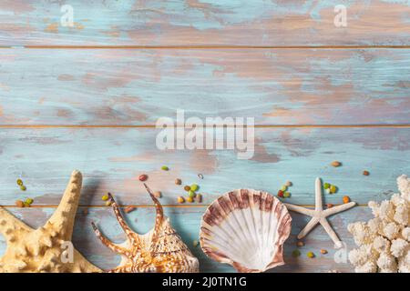 Vista dall'alto di conchiglie, stelle marine, rapan e coralli su un vecchio sfondo di legno blu. Concetto di vacanza tropicale Foto Stock