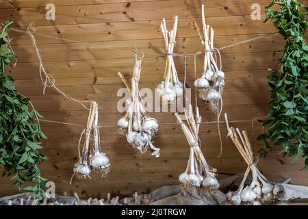 aglio asciutto e menta sullo spicchio in soffitta Foto Stock