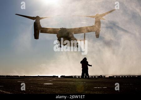 Un corpo Marino MV-22 Osprey con Marine Medium Tiltrotor Squadron 263, atterra a bordo del ponte di volo USS Kearsarge (LHD 3) durante l'esercizio dell'unità di addestramento composita (COMPTUEX), 30 gennaio 2022. COMPTUEX è l'ultimo periodo in mare del programma di formazione preliminare ARG/MEU. COMPTUEX è la fase finale di certificazione prima che il team ARG/MEU dimostri la propria disponibilità al dispiegamento. (STATI UNITI Foto del corpo marino di CPL. Yvonna Guyette) Foto Stock