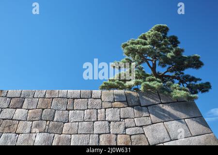 Il muro di pietra del vecchio castello di Edo nel Palac Imperiale di Tokyo Foto Stock