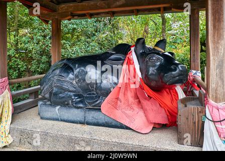 The statue of ox lying down under the roof at Kitano Tenmangu shrine. Kyoto. Japan Stock Photo