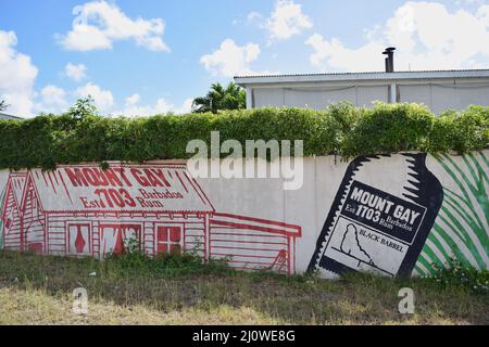 Mount Gay Barbados fabbrica graffiti sulla recinzione sito. Foto Stock