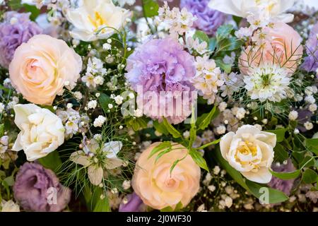 Ho fotografato i fiori esposti a Takasago durante la cerimonia nuziale. Foto Stock