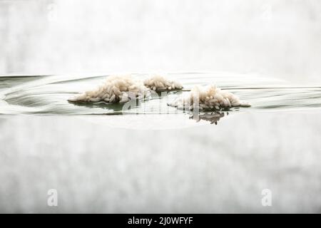 Fotografia creativa, Zongzi (gnocchi di riso) preparazione, tradizionale cibo cinese Foto Stock