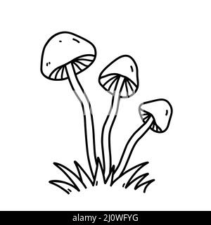 Funghi in erba isolato su sfondo bianco. Feci velenose. Illustrazione vettoriale disegnata a mano in stile doodle. Perfetto per carte, arredamento Illustrazione Vettoriale