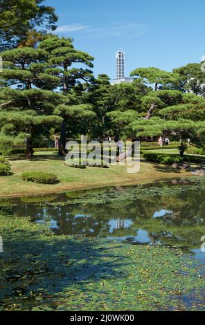 Laghetto nel Giardino Ninomaru presso il Palazzo Imperiale di Tokyo. Tokyo. Giappone Foto Stock