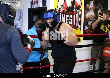 Conshohocken, PA, USA. 19th Mar 2022. Hazel Roche, l'amante latino si mette nel fine settimana finale di formazione a Joltin 'jab per la sua partita con al B Sure insieme ai partner di formazione Xan Louis e Frankie Pickard a Conshohocken, Pa 19 marzo 2022 credito: Star Shooter/Media Punch/Alamy Live News Foto Stock