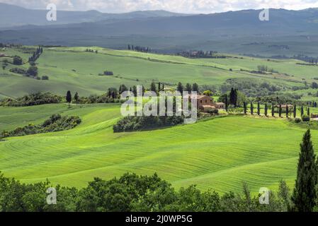 PIENZA, TOSCANA/ITALIA - MAGGIO 20 : Agriturismo vicino a Pienza in Toscana il 20 Maggio 2013 Foto Stock