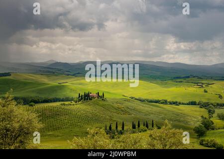 PIENZA, TOSCANA, ITALIA - MAGGIO 20 : Campagna della Val d'Orcia a Pienza il 20 Maggio 2013 Foto Stock