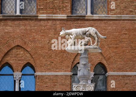 SIENA, TOSCANA, ITALIA - MAGGIO 18 : lupo con i bambini Romolo e Remo vicino alla Cattedrale di Siena, Toscana, Italia il 18 maggio Foto Stock