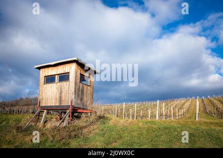 Wooden hunters high seat hide on field with cloudy dramatic sky background Stock Photo