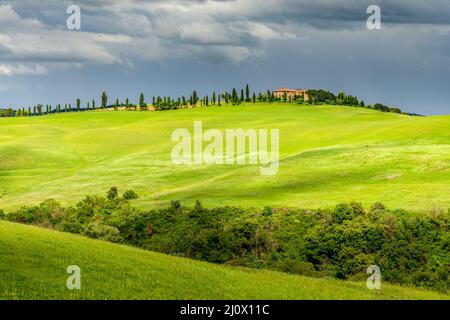 PIENZA, TOSCANA, ITALIA - MAGGIO 20 : paesaggio verdeggiante e casale in Toscana il 20 Maggio 2013 Foto Stock