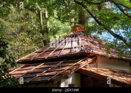Il tetto della vecchia casa del tè nel territorio del castello di Nagoya. Nagoya. Giappone Foto Stock