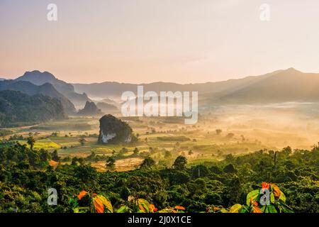 Phu Langka durante l'alba Thailandia del Nord in montagna, mattina vista paesaggio del parco della foresta di montagna Phu Langka in Phaya Foto Stock