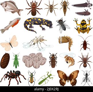 Diversi tipi di insetti e animali su sfondo bianco illustrazione Illustrazione Vettoriale
