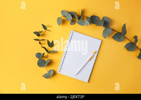 Foglie di eucalipto e un taccuino con una matita su sfondo giallo. Vista dall'alto. Disposizione piatta. Posiziona per testo, spazio di copia. Foto Stock