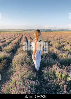 Vista posteriore della donna in abito e cappello bianco in piedi in mezzo al campo di lavanda. Foto Stock