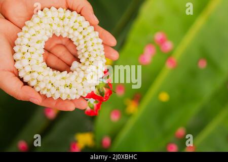 Mano della madre che tiene una ghirlanda di gelsomini durante il Festival di Songkran Foto Stock