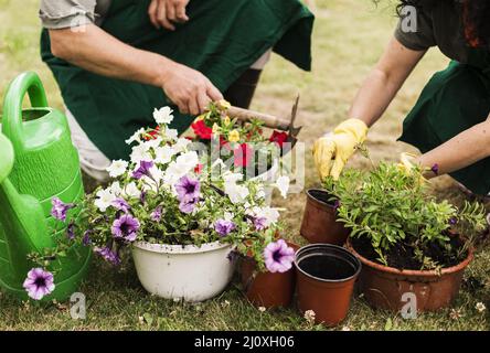 Coppia senior cura fiori. Concetto di foto di alta qualità Foto Stock